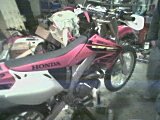 crf3.jpg